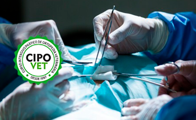 Curso Intensivo Prático de Ortopedia - Coluna | 21 a 23 de setembro